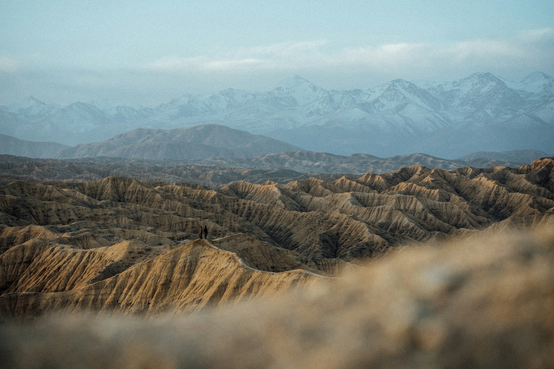 Open landscape